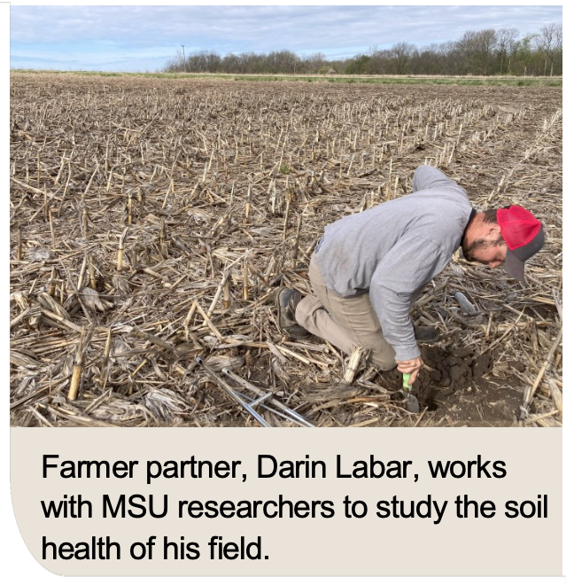 Farmer partner, Darin Labar, works with MSU researchers to study the soil health of his field.